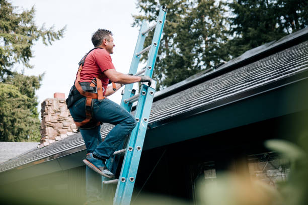 Best Asphalt Shingles Roofing  in Safety Harbor, FL